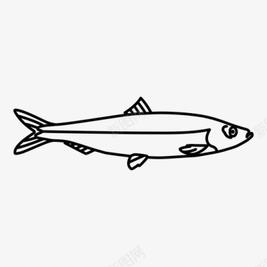 鲱鱼鱼饲料鱼图标图标