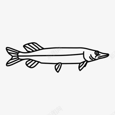 北梭子鱼食肉鱼类淡水鱼图标图标