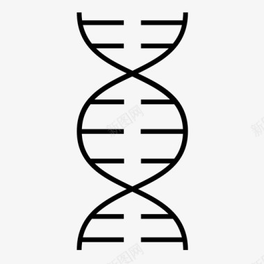 螺旋圣诞树dna家谱遗传学图标图标