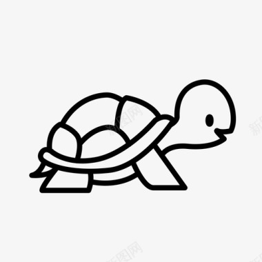 乌龟生日卡乌龟动物动物2图标图标