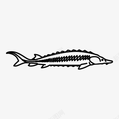 鲟鱼鱼淡水鱼图标图标