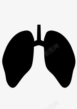 肺器官图标图标