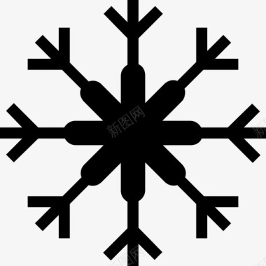 冬天雪花庆祝圣诞节图标图标