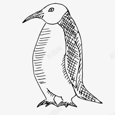 素描动物企鹅动物鸟图标图标