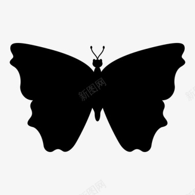 蝴蝶动物昆虫图标图标