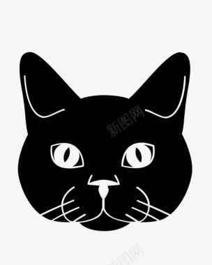 黑猫动物脸图标图标