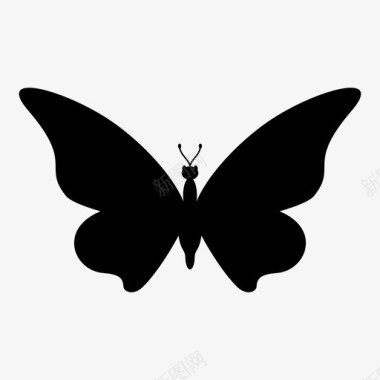 蝴蝶动物昆虫图标图标