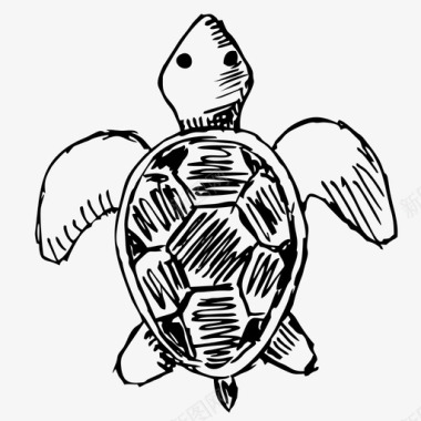 爬行动物海龟动物手绘图标图标