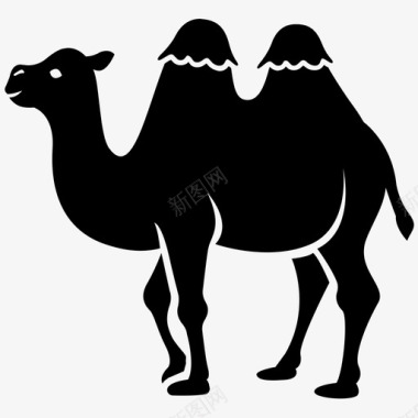 马戏团骆驼双峰驼马戏团图标图标