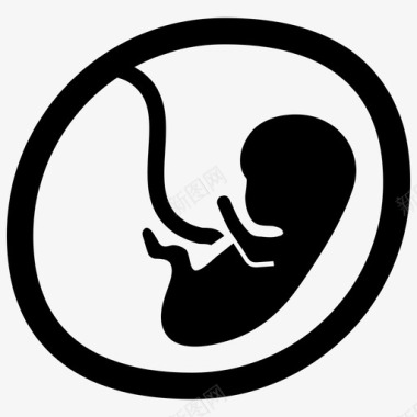 胎儿胚胎怀孕图标图标