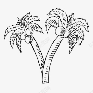 棕榈树素描夏天图标图标