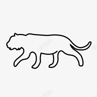 老虎动物美洲狮图标图标