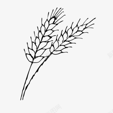 农作物小麦玉米农作物图标图标