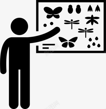 蝴蝶标本收集板物种图标图标
