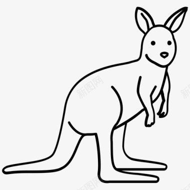 袋鼠澳大利亚草食动物图标图标