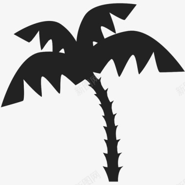 棕榈树大自然植物图标图标