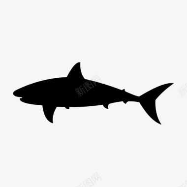 鲨鱼动物大的图标图标