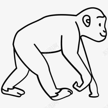 猴子猿黑猩猩图标图标