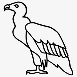 非洲鸟类秃鹫非洲鸟图标高清图片
