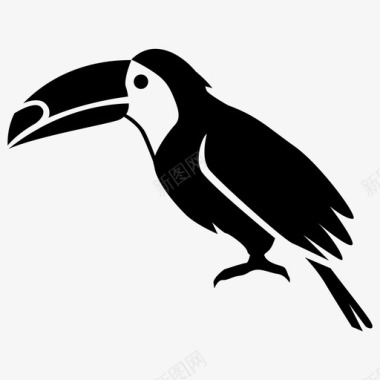 巴西标志巨嘴鸟亚马逊鸟图标图标