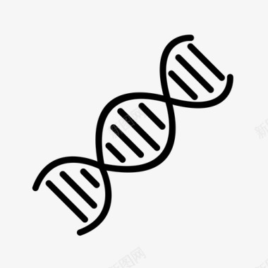 螺旋dna遗传学螺旋图标图标