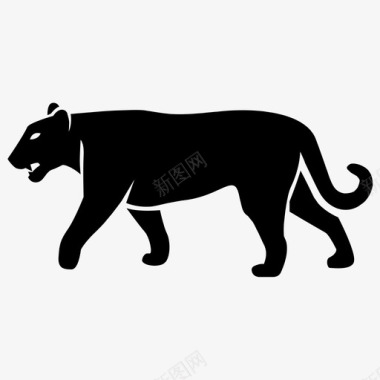 美洲狮大型食肉动物图标图标