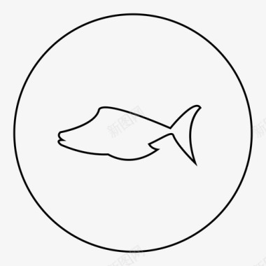 自然的鱼动物自然图标图标