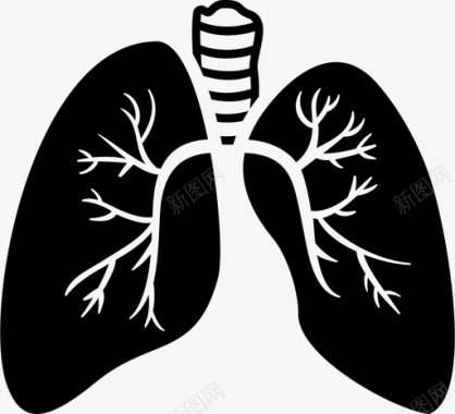 肺脊柱呼吸图标图标