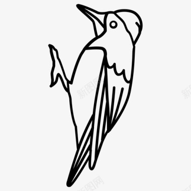 啄木鸟鸟火回图标图标