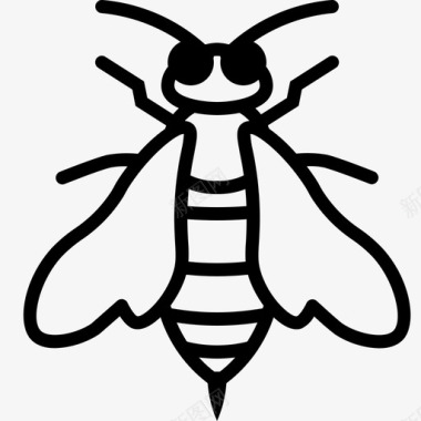 枇杷蜂蜜蜜蜂有刺养蜂蜂蜜图标图标