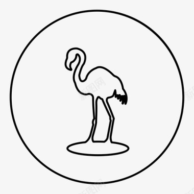 欧美动物鸟动物苍鹭图标图标