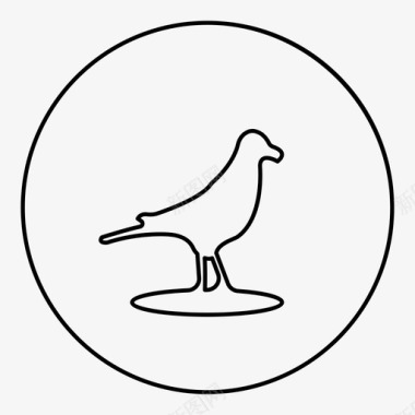 动物素描鸟动物图标图标