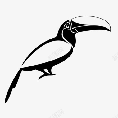 巨嘴鸟动物喙图标图标