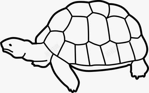 爬行动物海龟动物生态学图标图标