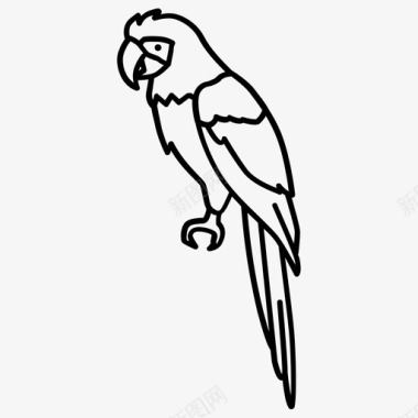 金刚鹦鹉鸟五颜六色图标图标