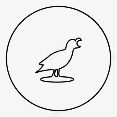 动物素描鸟动物图标图标