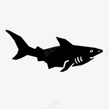 鲨鱼动物危险图标图标