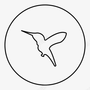 鸟动物蜂鸟图标图标