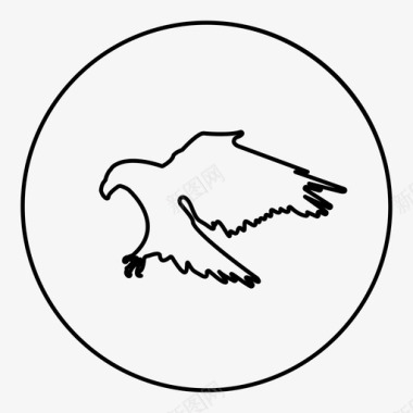 鸟动物鹰图标图标
