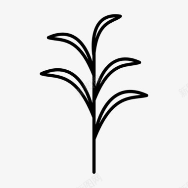 植物叶子甘蔗图标图标