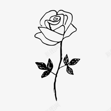 相框素描玫瑰花素描图标图标