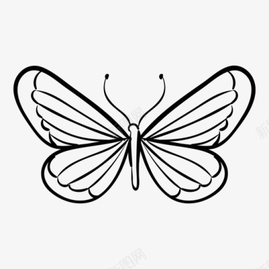蝴蝶动物自然图标图标