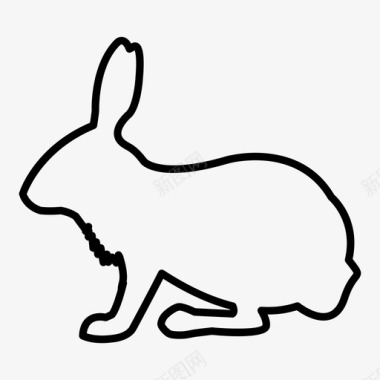 兔子动物宠物图标图标