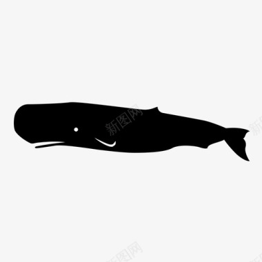 抹香鲸白鲸海洋图标图标