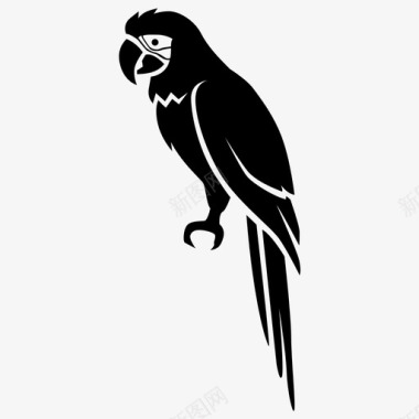 金刚鹦鹉鸟彩色图标图标