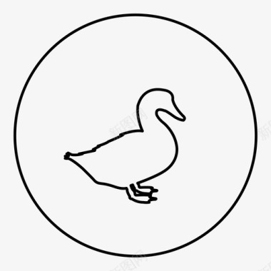 动物素描鸭子动物宠物图标图标