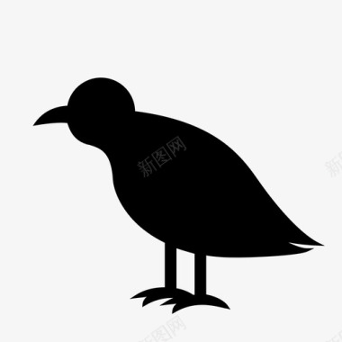 乌鸦动物鸟图标图标
