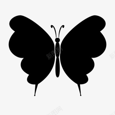 蝴蝶装饰飞虫图标图标
