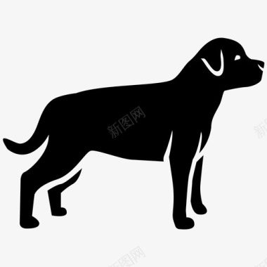 罗威犬狗德国人图标图标