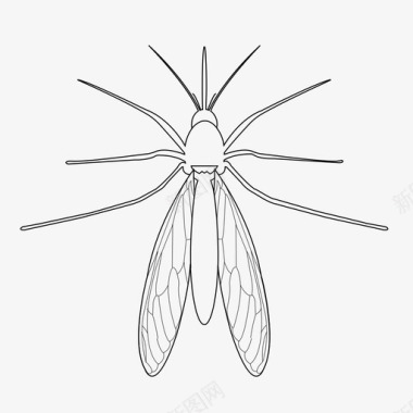 翅膀蚊子吸血鬼虫子图标图标